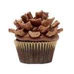 Schokoladen-Orangen-Kiefernzapfen-Cupcakes