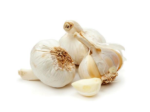 Valkosipuli