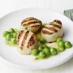 Karamellisierte Jakobsmuscheln in einer grünen Erbsen-Vinaigrette