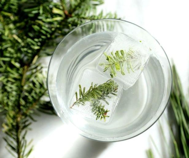 So mixen Sie den perfekten Gin Tonic