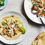 Salpicon mit Tilapia
