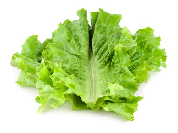 خَسّ