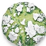 Cracked Key Lime Cookies