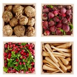 وصفات الخضراوات الجذرية المخبوزة