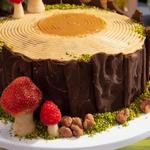Weihnachts-Baumstumpfkuchen
