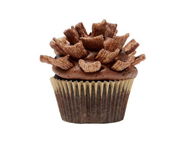 Çikolatalı Portakallı Çam Kozalaklı Cupcakeler